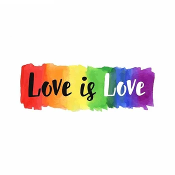 Meilė Yra Meilė Gėjų LGBT Automobilių Lipdukai Vandeniui, Saulės Vinilo Decal JDM Bamperis Magistralinių Sunkvežimių Grafika,13cm*4cm